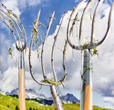 Von Heimat und Tänzen