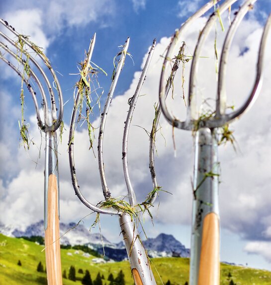 Von Heimat und Tänzen
