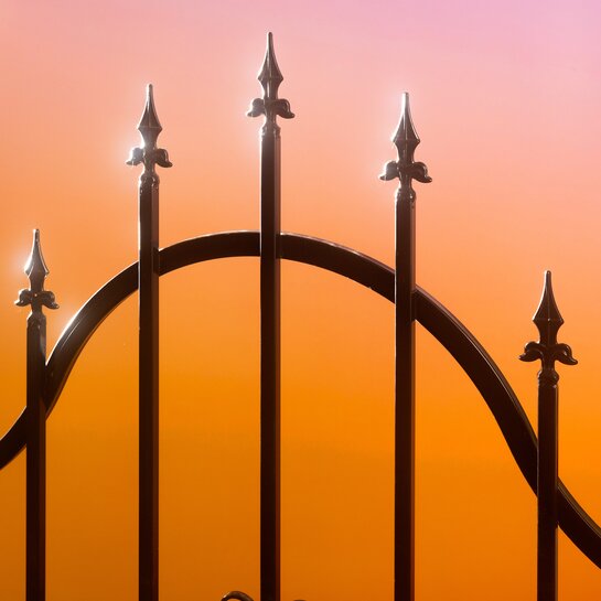 5. Symphoniekonzert | © Tobias Nicolai 5. Symphoniekonzert | © Tobias Nicolai