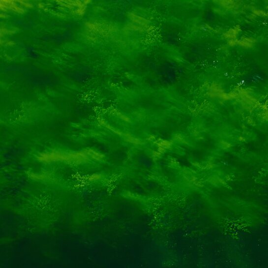 4. Symphoniekonzert | © Tobias Nicolai