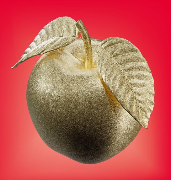 Der Feuervogel und Petruschka