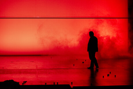 Wojo van Brouwer (Figaro) | © Birgit Gufler