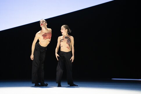 Iliano Tomasetto, Elizabeth Shupe / Boléro