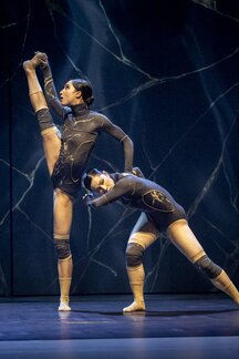 Mariana Romão, Jung-Ching Cheng / Unfamiliar Connections