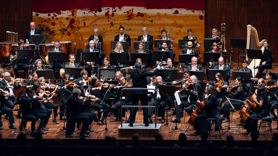 1. Symphoniekonzert_06 | © WE FEEL