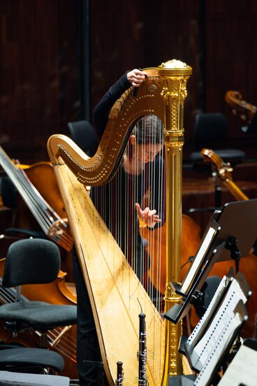 2. Symphoniekonzert_01 | © WE FEEL