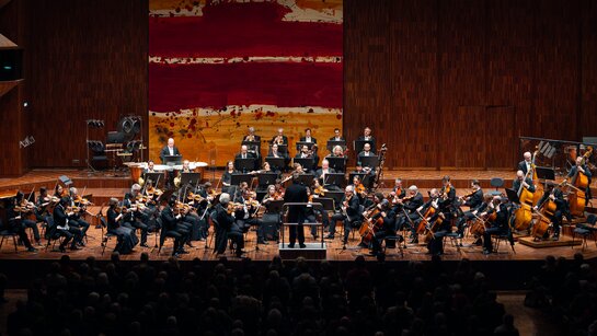 3. Symphoniekonzert_5