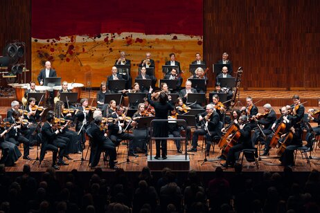 3. Symphoniekonzert_7 | © WE FEEL