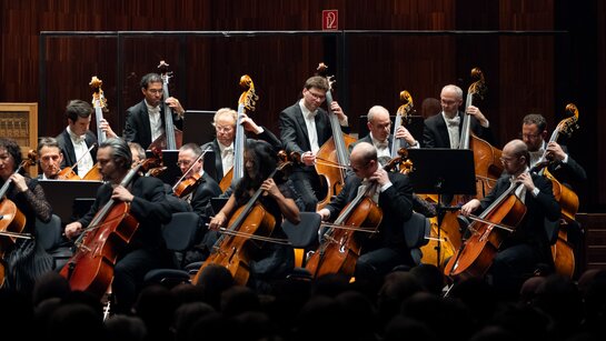 6. Symphoniekonzert_08