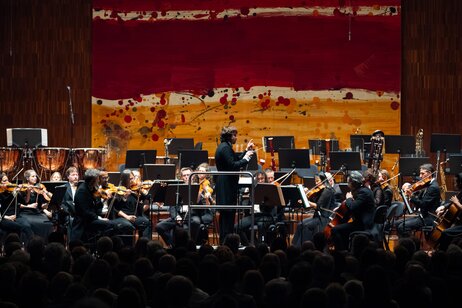 7. Symphoniekonzert_07