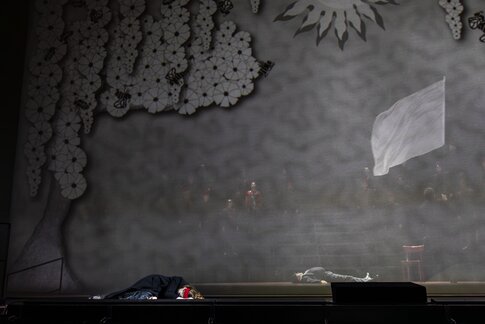 Hazel Neighbour (Kunka)