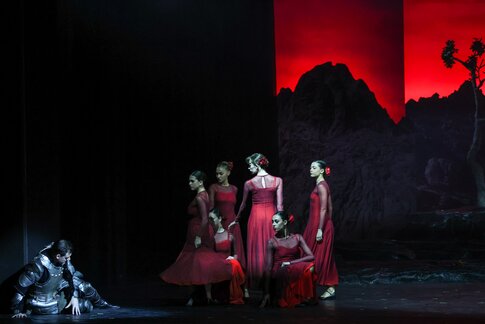 Oliver Sailer (Don Quichotte) & Tanzensemble