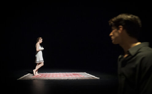 Stück: Secret Garden / Choreografie: Olivia Swintek Foto: Elizabeth Shupe, Giorgos Mitas | © Werner Kmetitsch