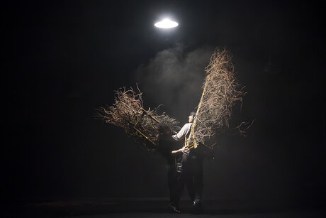 Stück: Fight Dog / Choreografie: Elizabeth Shupe Foto: Spyros Zikos, MingXuan-Vincent Gao | © Werner Kmetitsch