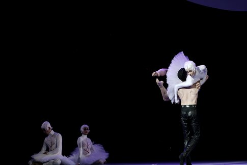 Mingfu Guo, Melissa Totaro, Iliano Tomasetto, Catarina Abreu