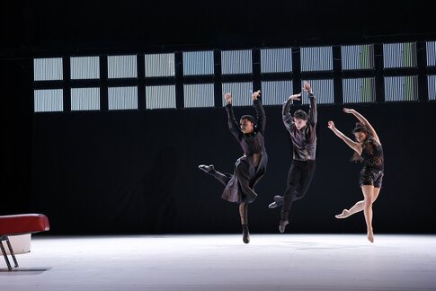 Franklin Jones da Silva Santos, Eskil Dorrepaal, Letizia Pignard