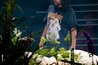 ÖEA Kammerspiele Innsbruck: Julien Horbatuk (Guy)